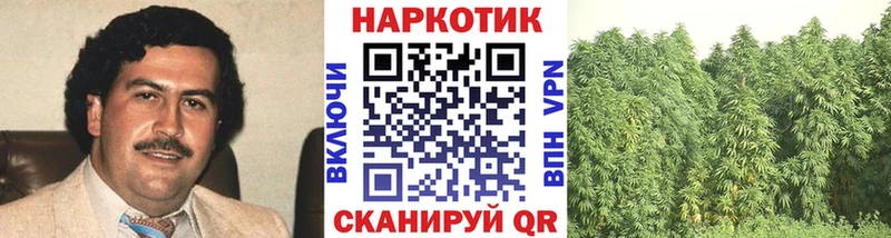 Где можно купить наркотики Шатура ГАШ  LSD-25  Кокаин  СОЛЬ  Меф мяу мяу  Канабис  МЕТАМФЕТАМИН 