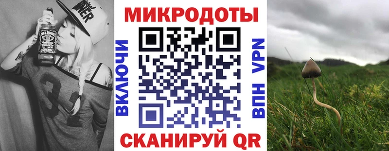 дарк нет наркотические препараты  купить наркотики сайты  mega ТОР  Шатура  Псилоцибиновые грибы MAGIC MUSHROOMS 