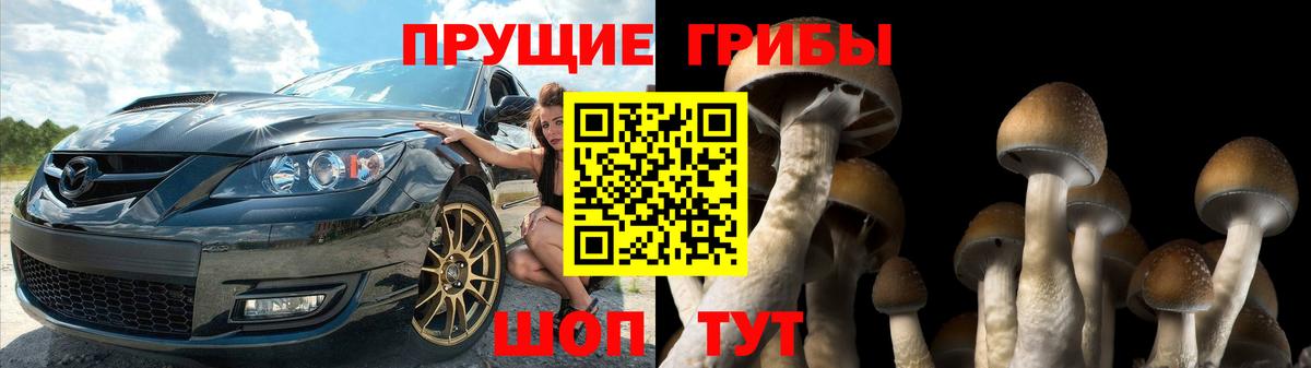 Псилоцибиновые грибы мухоморы Шатура