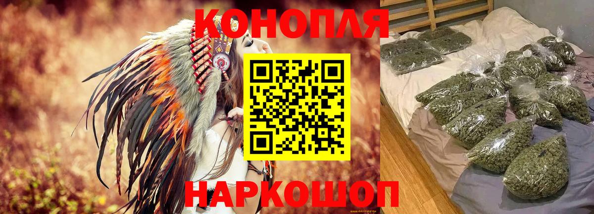 Бошки Шишки планчик Шатура